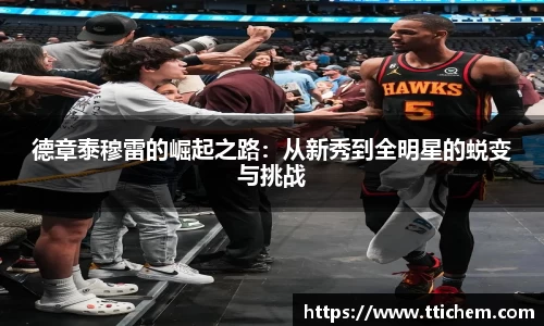 德章泰穆雷的崛起之路：从新秀到全明星的蜕变与挑战
